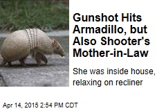Shot Bounces Off Armadillo, Finds Man&#39;s Mother-in-Law