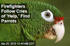 Firefighters Follow Cries of &#39;Help,&#39; Find Parrots
