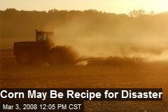 Corn May Be Recipe for Disaster