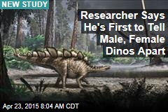 Researcher Says He&#39;s First to Tell Male, Female Dinos Apart