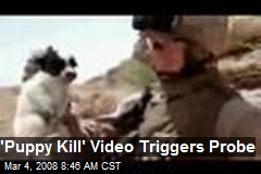 'Puppy Kill' Video Triggers Probe