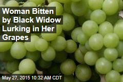 Woman Bitten by Black Widow Lurking in Her Grapes
