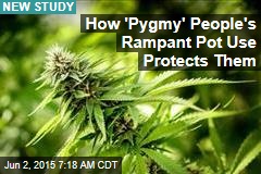 How &#39;Pygmy&#39; People&#39;s Rampant Pot Use Protects Them