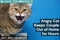Angry Cat Keeps Couple Out of Home for Hours