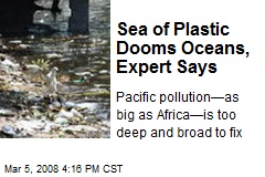 Sea of Plastic Dooms Oceans, Expert Says