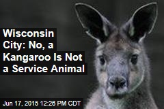 Wisconsin City: No, a Kangaroo Is Not a Service Animal