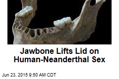 Jawbone Lifts Lid on Human-Neanderthal Sex