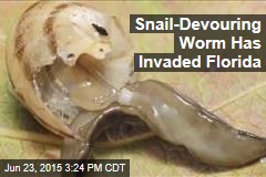 Snail-Devouring Worm Has Invaded Florida