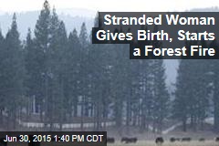 Mom&#39;s Exploit: A Wilderness Birth, Bees, Forest Fire