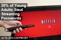 20% of Young Adults Steal Streaming Passwords