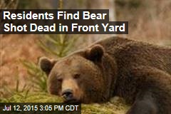 Residents Find Bear Shot Dead in Front Yard