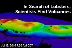 In Search of Lobsters, Scientists Find Volcanoes
