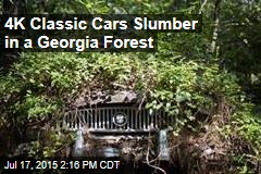 4K Classic Cars Slumber in a Georgia Forest