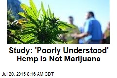 Study: &#39;Poorly Understood&#39; Hemp Is Not Marijuana