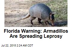 Fla. Warns That Armadillos Are Spreading Leprosy
