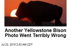 Selfie Gone Wrong is Park&#39;s 5th Bison Attack This Year