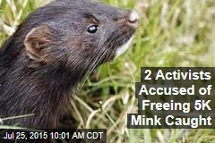 2 Activists Accused of Freeing Thousands of Mink Are Caught