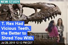T. Rex Had Vicious Teeth, the Better to Shred You With