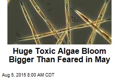 Huge Toxic Algae Bloom Bigger Than Feared in May