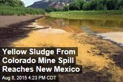 Yellow Sludge From Colorado Mine Spill Reaches New Mexico