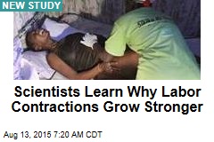 Scientists Learn Why Labor Contractions Grow Stronger