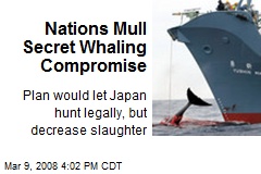 Nations Mull Secret Whaling Compromise