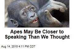 Apes May Be Closer to Speaking Than We Thought