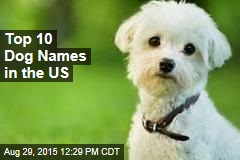 Top 10 Dog Names in the US