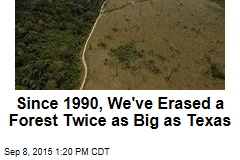 Since 1990, We&#39;ve Erased a Forest Twice as Big as Texas