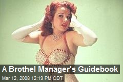 A Brothel Manager's Guidebook
