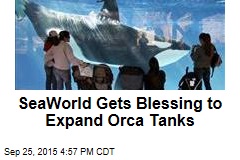 SeaWorld Gets Blessing to Expand Orca Tanks