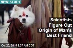 Scientists Figure Out Origin of Man&#39;s Best Friend