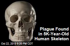 Plague Found in 5,000-Year-Old Human Skelton