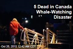 4 Dead in Canada Whale-Watching Disaster
