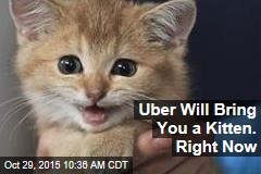 Uber Will Bring You a Kitten. Right Now