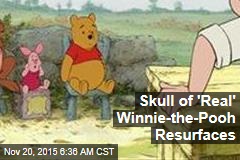 Skull of &#39;Real&#39; Winnie-the-Pooh Resurfaces