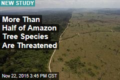 Say Goodbye to Over Half of Amazon Tree Species
