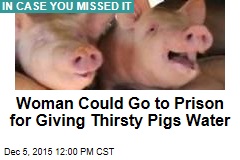 Woman Could Go to Prison for Giving Thirsty Pigs Water