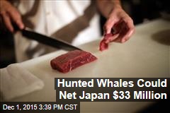 Hunted Whales Could Net Japan $33 Million