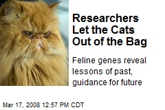 Researchers Let the Cats Out of the Bag