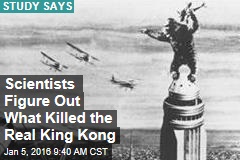 Demise of Real King Kong? Being a Picky Eater