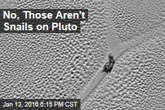 No, Those Aren&#39;t Snails on Pluto