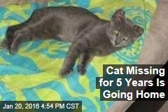 Cat Missing for 5 Years Is Going Home