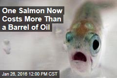 One Salmon Now Costs More Than a Barrel of Oil
