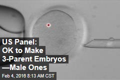 US Panel: OK to Make 3-Parent Embryos &mdash;Male Ones