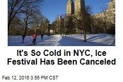 It&#39;s So Cold in NYC, Ice Festival Has Been Canceled