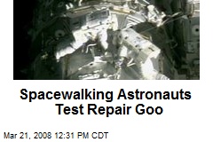 Spacewalking Astronauts Test Repair Goo
