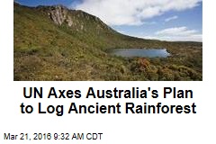 UN Axes Australia&#39;s Plan to Log Ancient Rainforest