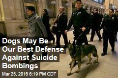 Dogs May Be Our Best Defense Against Suicide Bombings