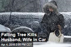 Falling Tree Kills Husband, Wife in Car